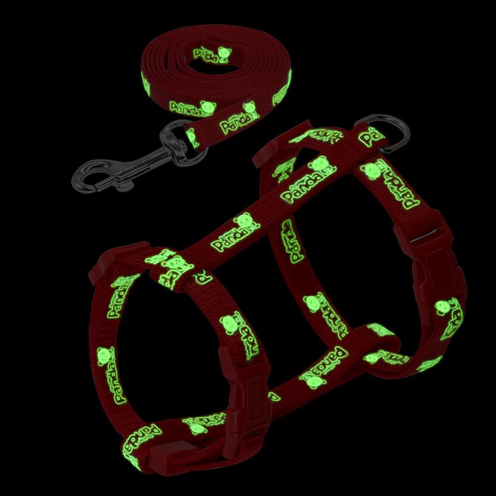 Harnais en nylon - Produit 3 en 1 : Harnais, laisse et médaillon personnalisé Bonheur de Chat Harnais en nylon - Produit 3 en 1 : Harnais, laisse et médaillon personnalisé