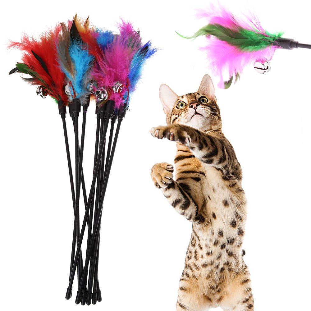 Petit chat Squishy Anti-stress à écraser en 4 couleurs – Bonheur de Chat